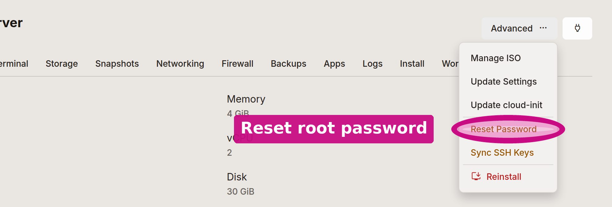 The instance Advanced menu with Reset Password circled