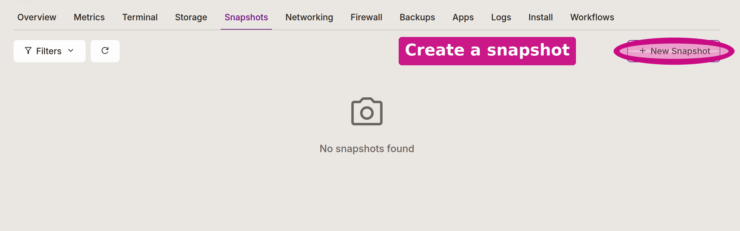 The instance Snapshots tab with the New Snapshot button circled